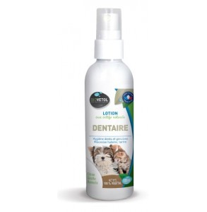 LOTION DENTAIRE 125 ML